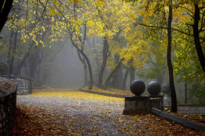 В старом парке.... 