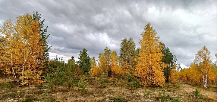 ОСЕНЬ