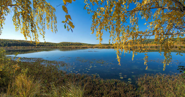Осенняя панорама