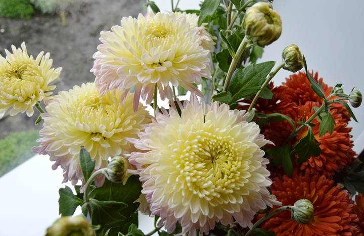 614d9f9de2cfda3da566a6ab