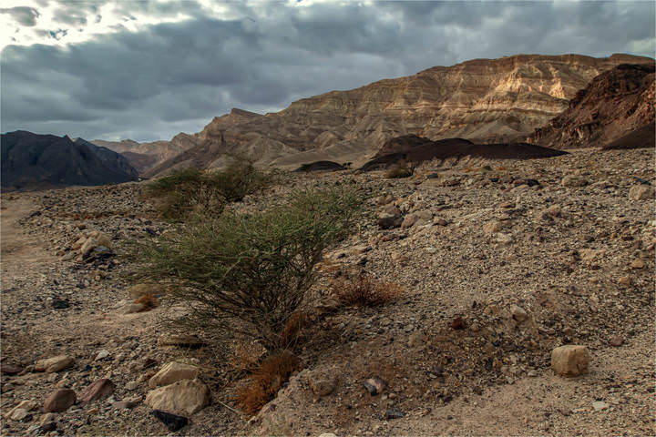 *****