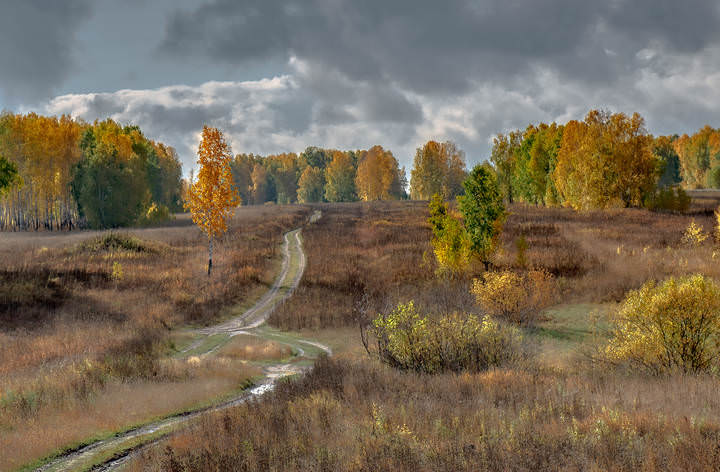 Дорога осени.