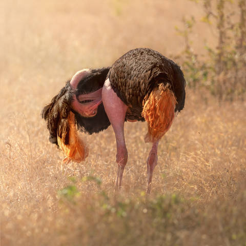 # 1