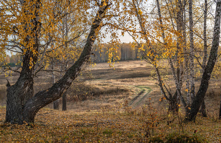 Тёплый день.
