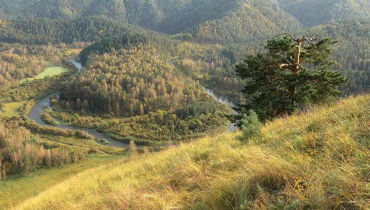 Есауловская петля.