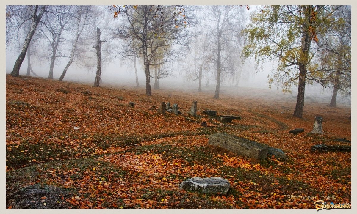 Старое кладбище "Березовое"