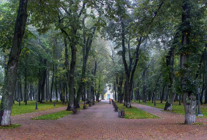 Осеннее утро