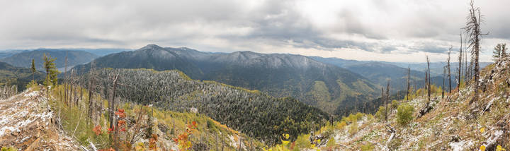 Кокуевская панорама