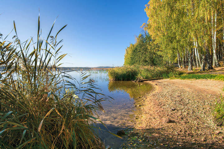 Осенний берег