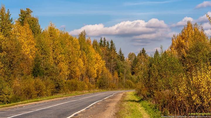 По осенним дорогам