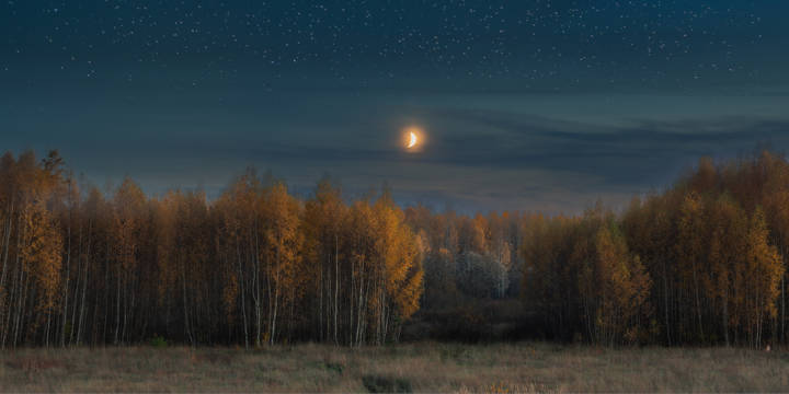 Про осень