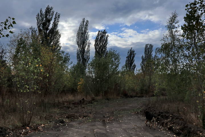  Начало осени. Похолодало.
