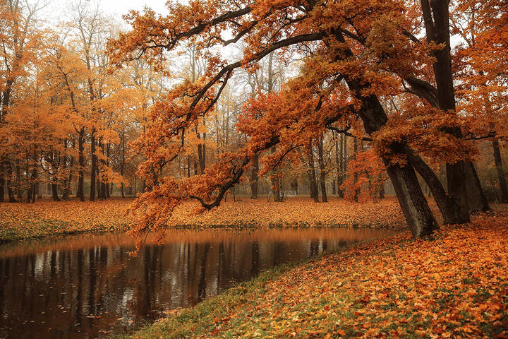 Александровский парк