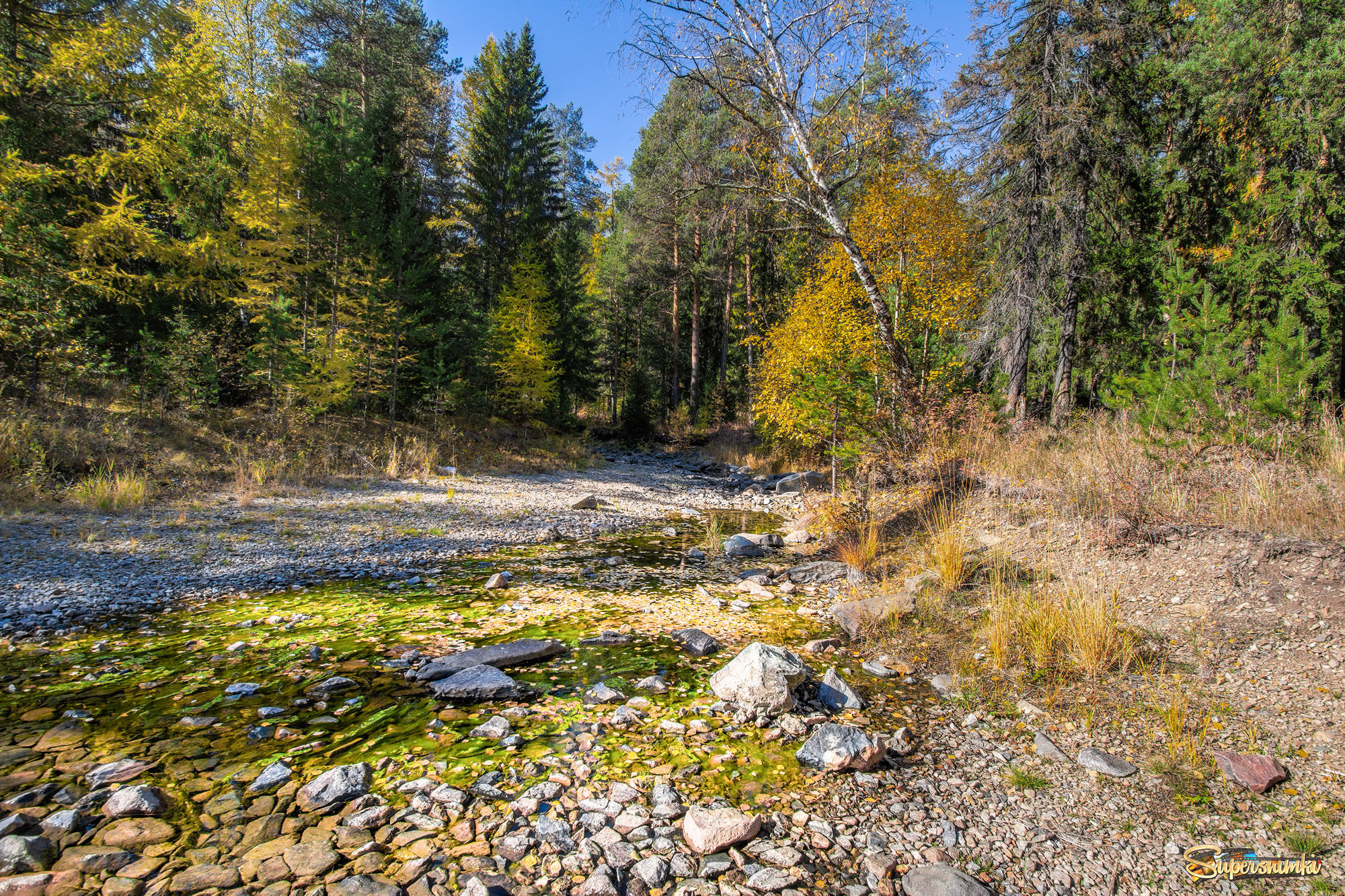 Осенняя речка