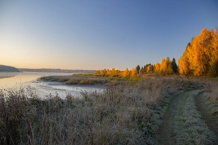 Первые заморозки