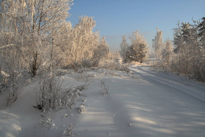 Морозным днём