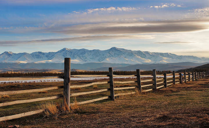 Курайские заборчики
