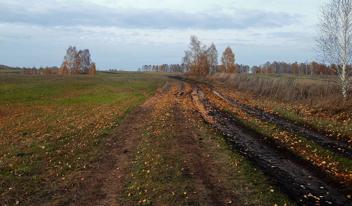 По осенней дороге