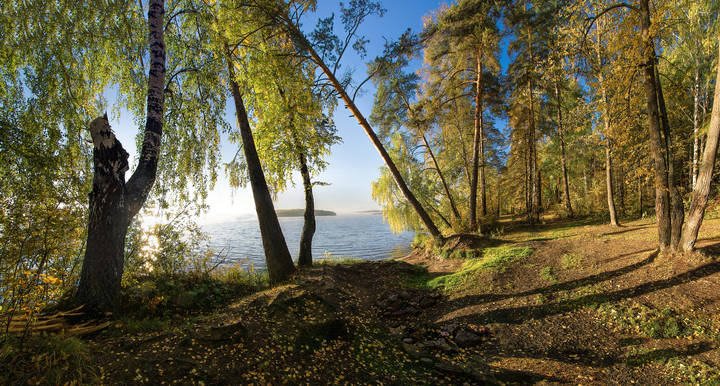 Осеннее утро
