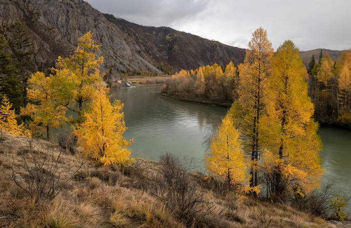 Осенняя Чуя.