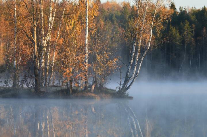 Утром туманным.......