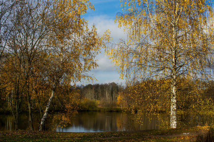 В осенней колыбели... душа вспорхнет над этой красотой....