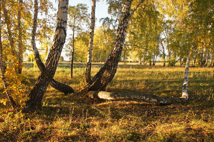 Осень.