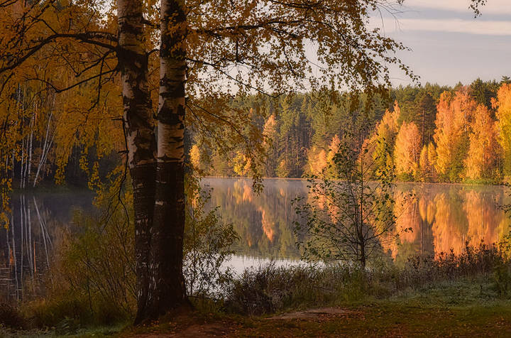 Осени краски....