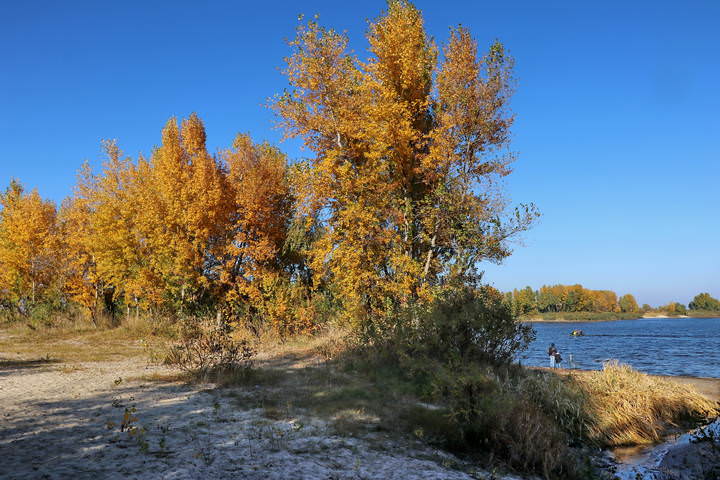  Осень на Днепре.