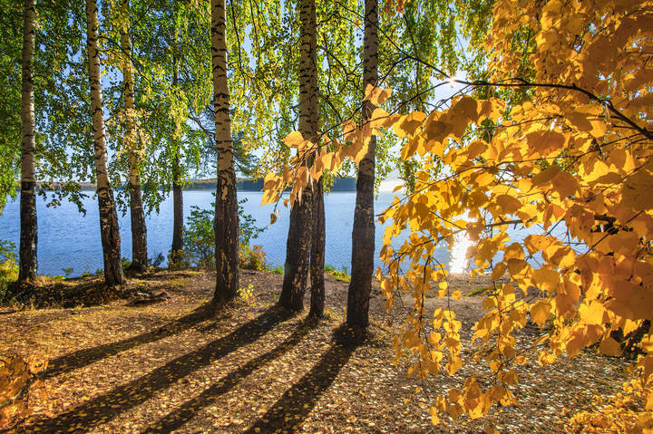 На озере осень