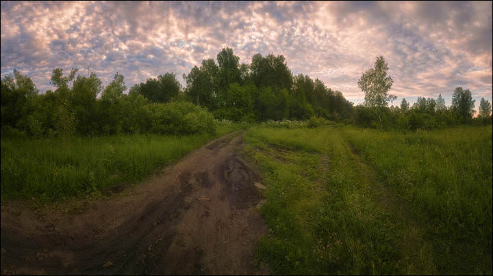На перепутье
