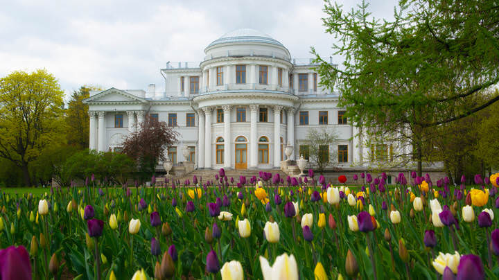 Праздник тюльпанов