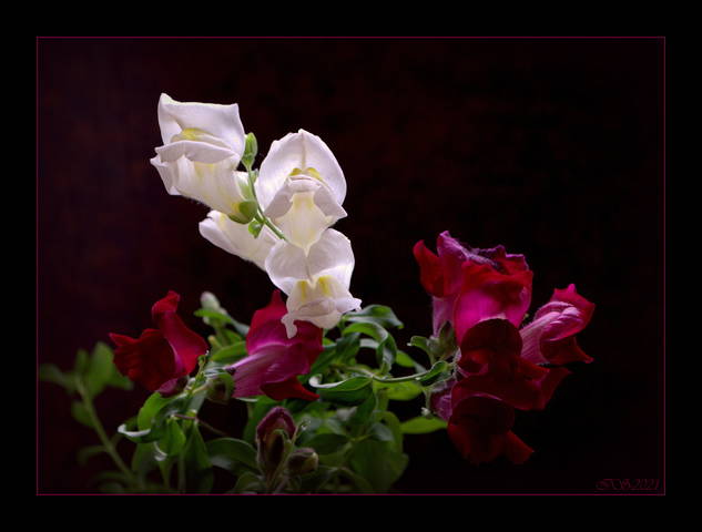 61796f20e2cfda326e7aff53