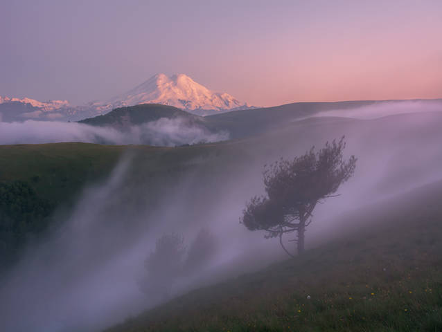 В пелене т умана