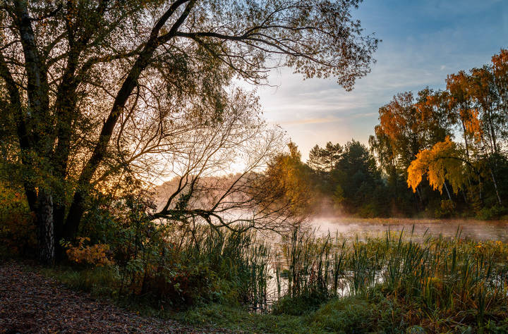 осень