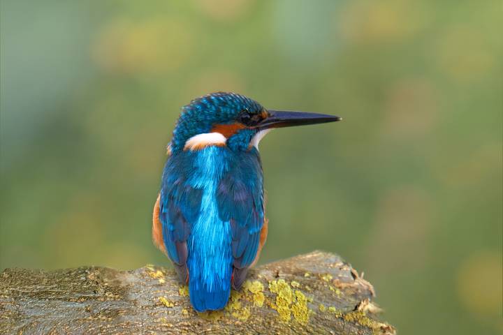 # 1