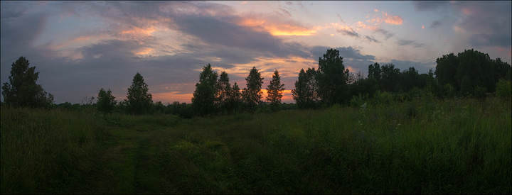 В сумерках
