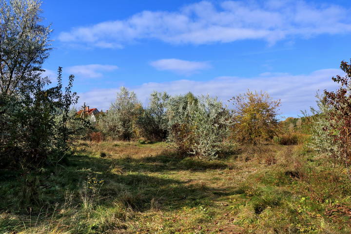  На краю села.