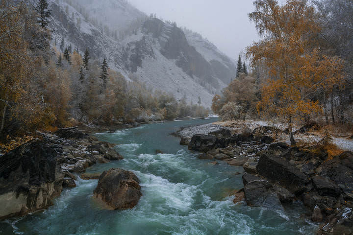 Утренний снег (2)