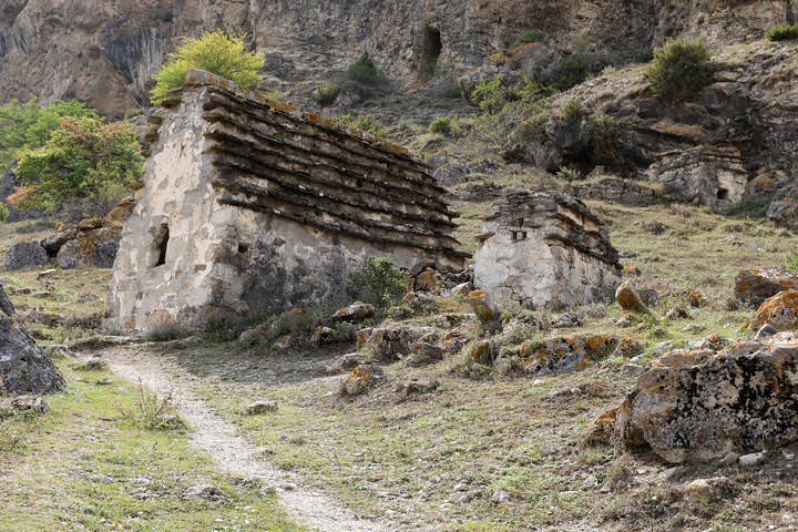  Село Дзивгис