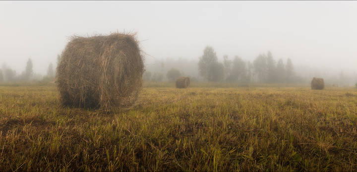 В поле