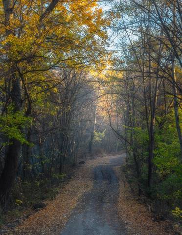 ***