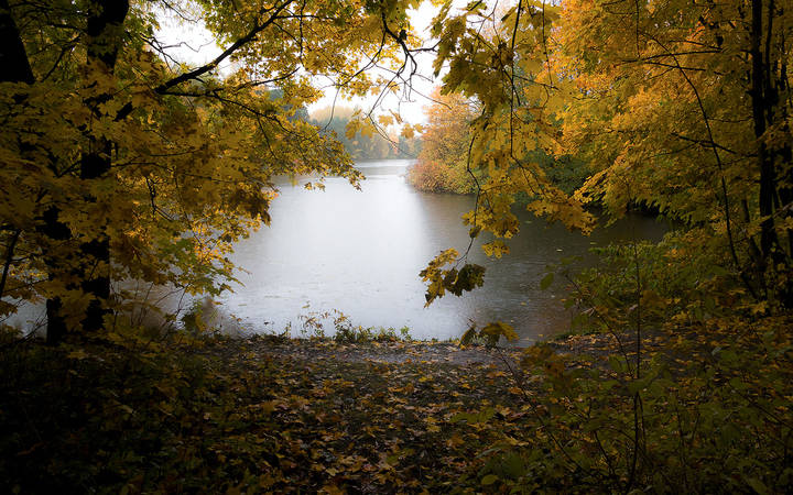 осень