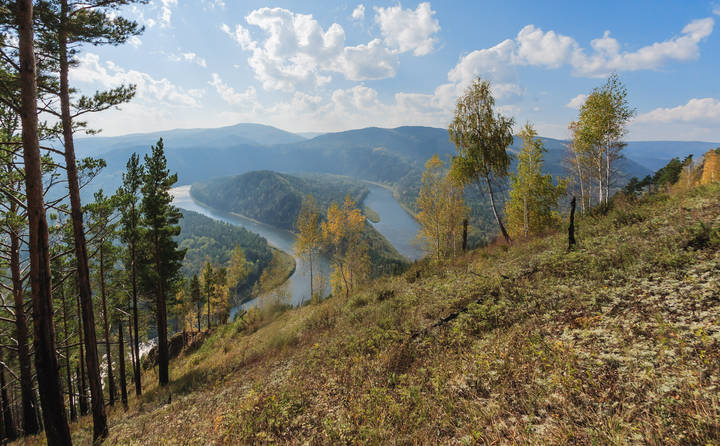 Манская петля