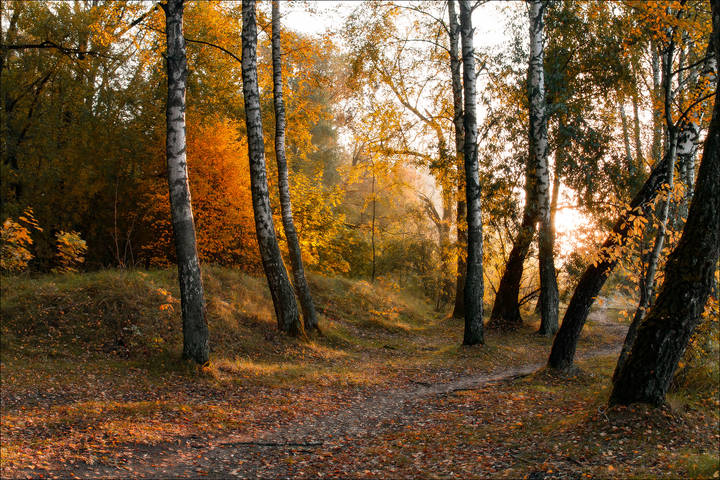 осень