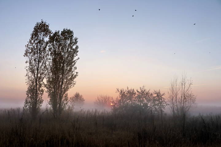 Вечерний туман, после дождя. 