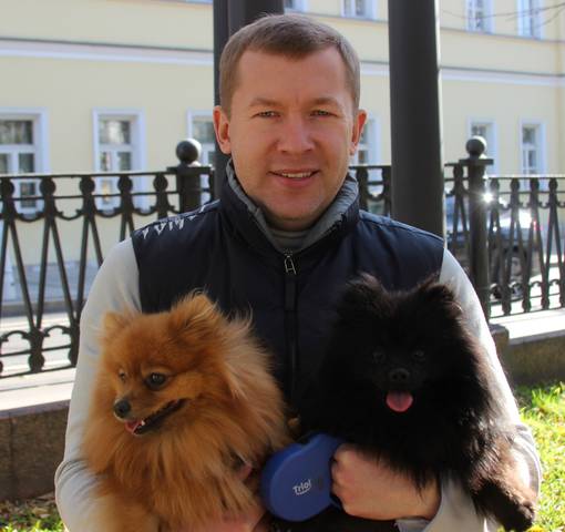любимые питомцы