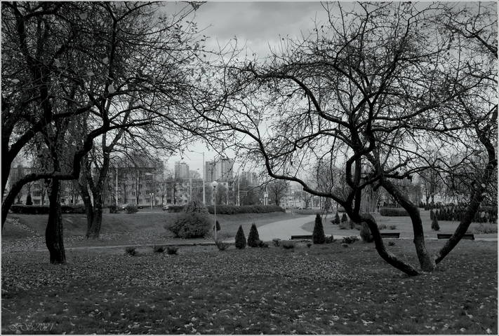 в городе осень