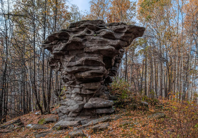 Лесное чудище