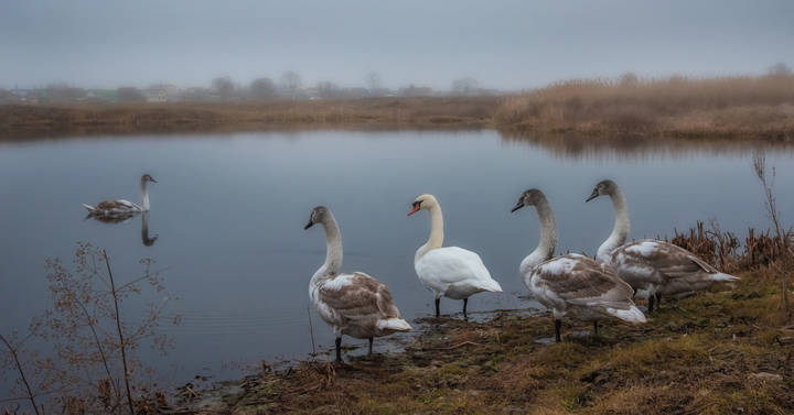 Экзамен